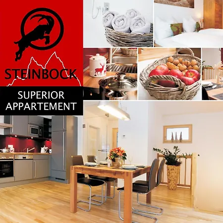 Apartment Steinbock Superior