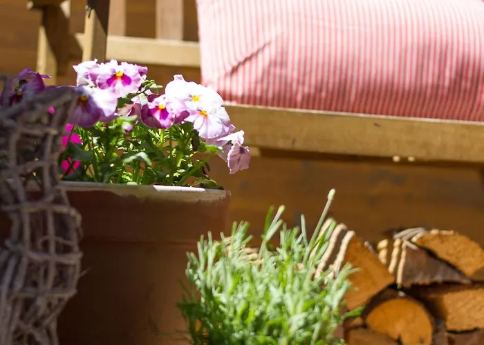 Steinbock Superior Zell am See