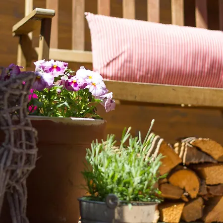 Steinbock Superior Τσελ αμ Ζέε