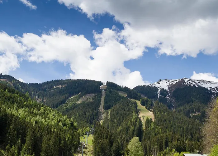 Steinbock Superior Apartmán